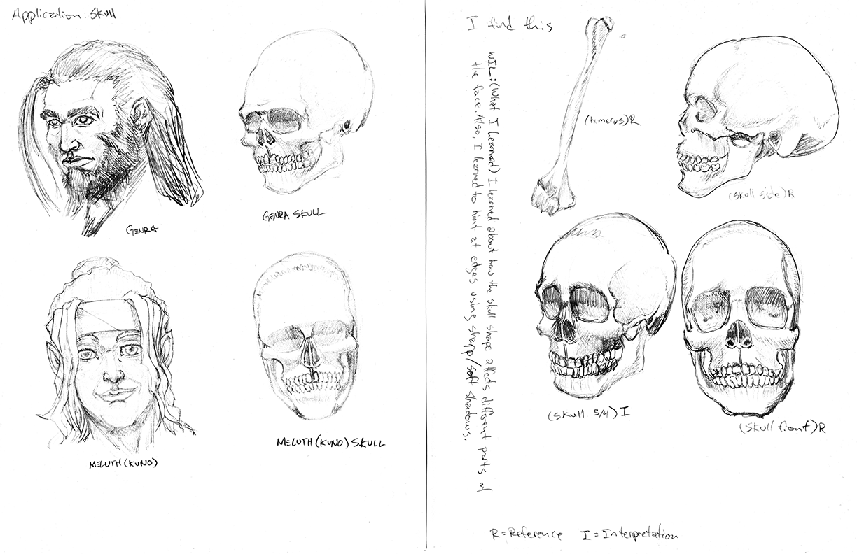 AnatomyStudies_1