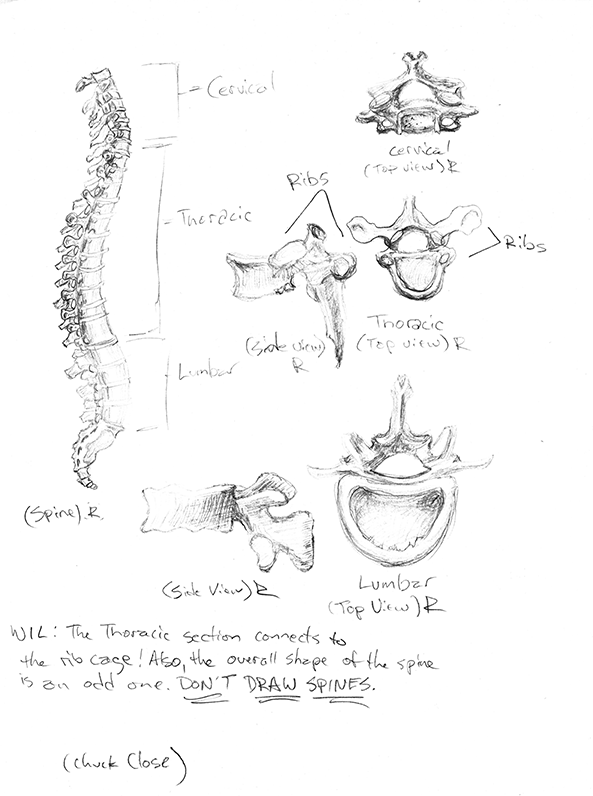 AnatomyStudies_2